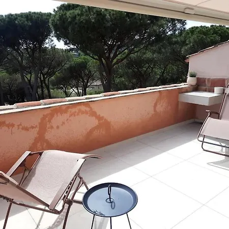 Duplex With Discrete Terrace, Peacefull, Gigaro 10mn Walk Apartment *